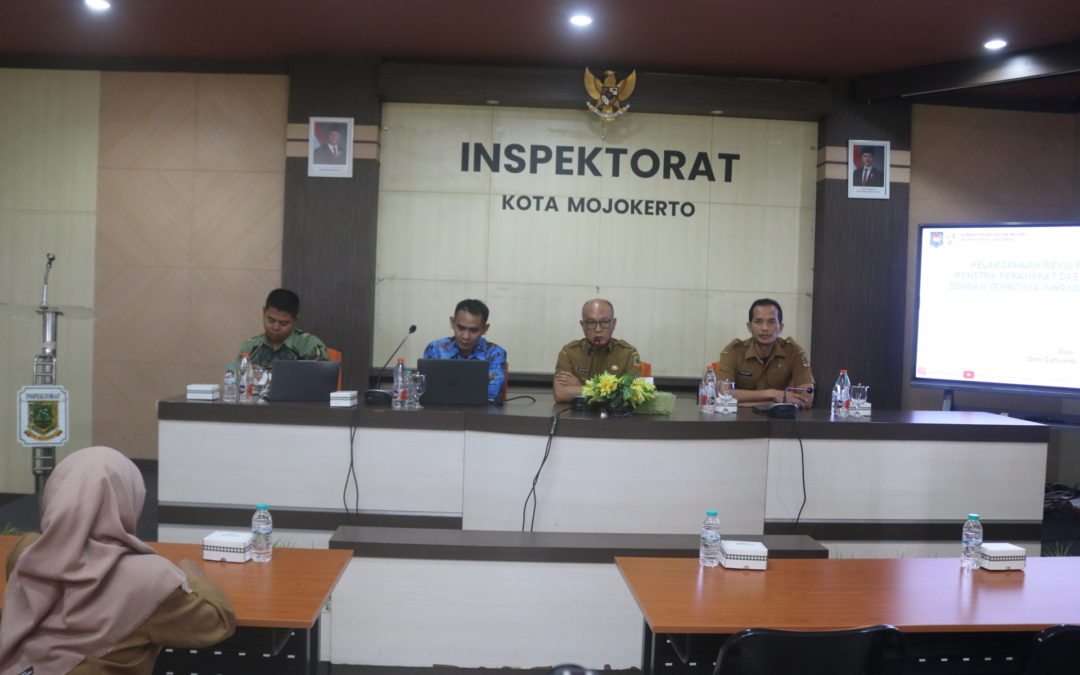 Pelatihan E-Reviu Renstra